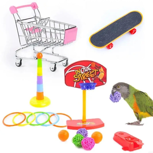 W91B Bird Training Set Parrot Intelligence - ProPawPet.com
