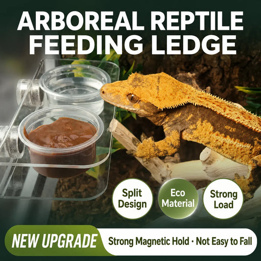 Magnetic Reptile Feeding Ledge Acrylic - ProPawPet.com