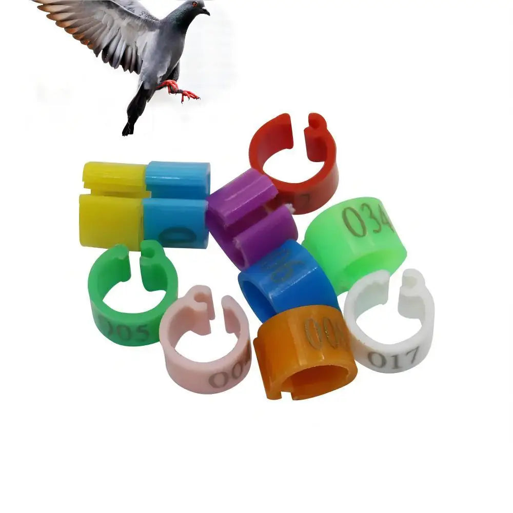 100Pcs Pigeon Anklet Inner Diameter 6mm Bird - ProPawPet.com