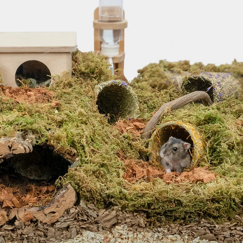 2027 Hamster Tunnel & Grass-Based Modular - ProPawPet.com