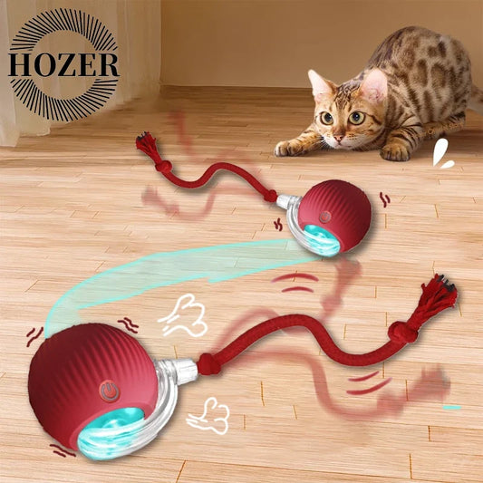 Cat Interactive Ball Toys Automatic Rolling - ProPawPet.com