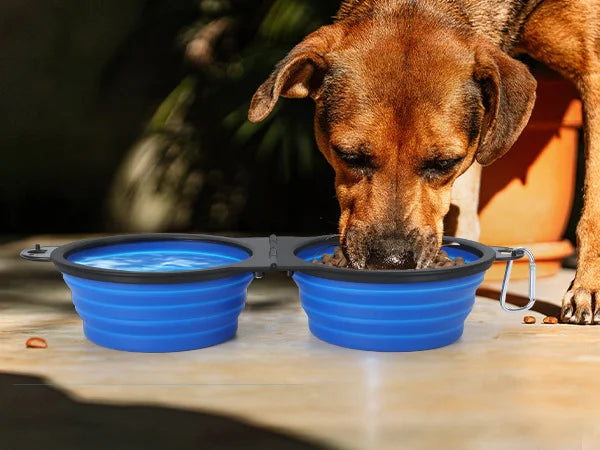Portable Foldable 2-in-1 Dual Bowl for Dogs - ProPawPet.com