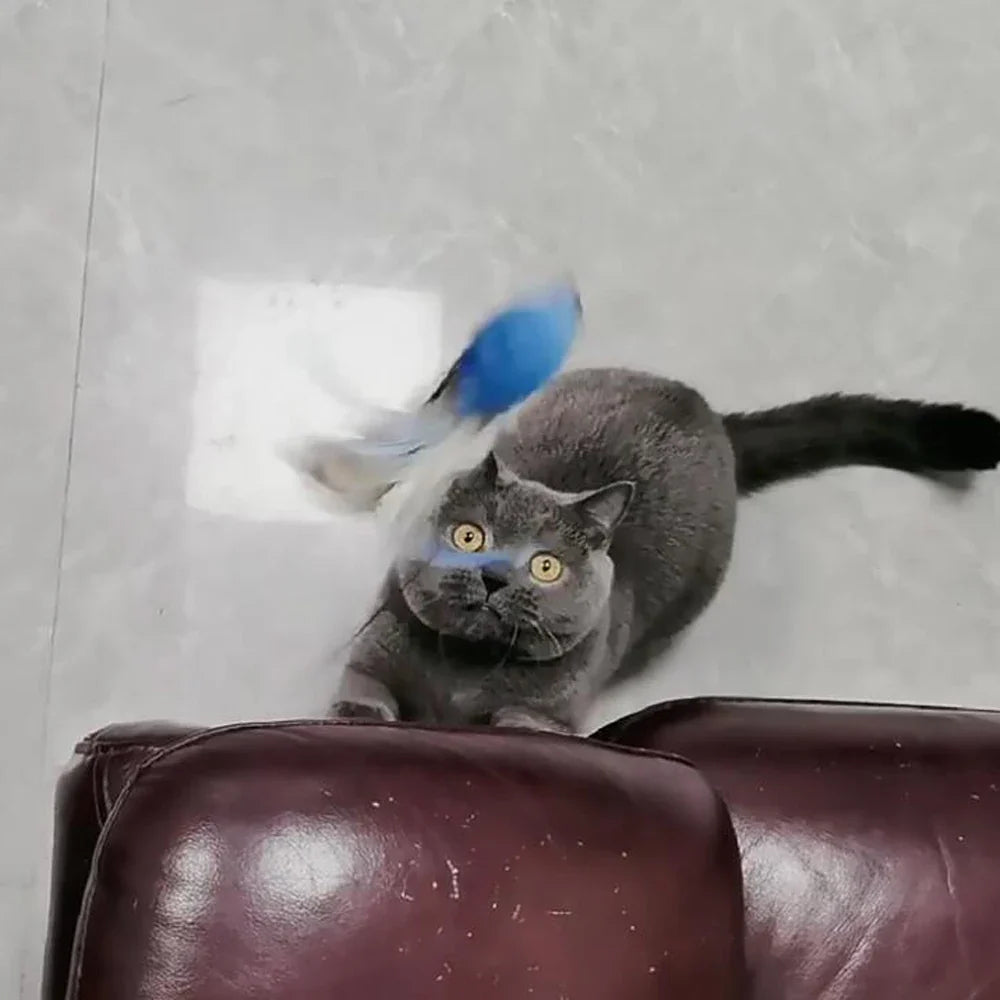 2pcs Replacement Head for Cat Teaser Funny - ProPawPet.com