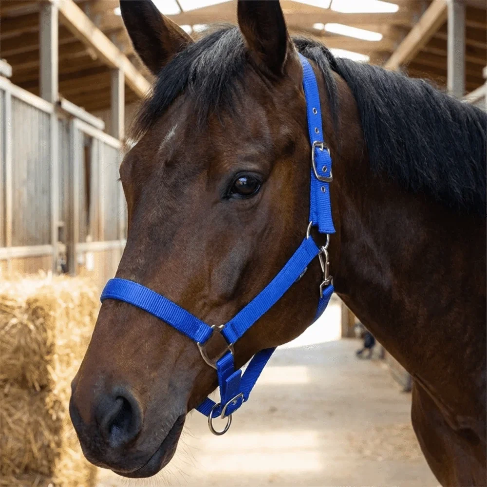 Universal Fit Adjustable Horse Halter Nylon - ProPawPet.com