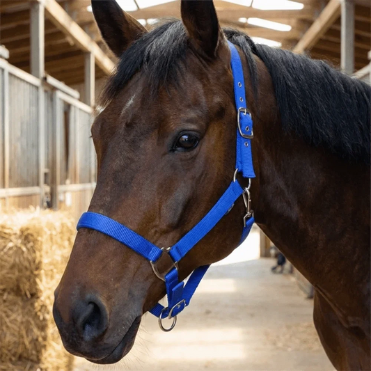 Universal Fit Adjustable Horse Halter Nylon - ProPawPet.com