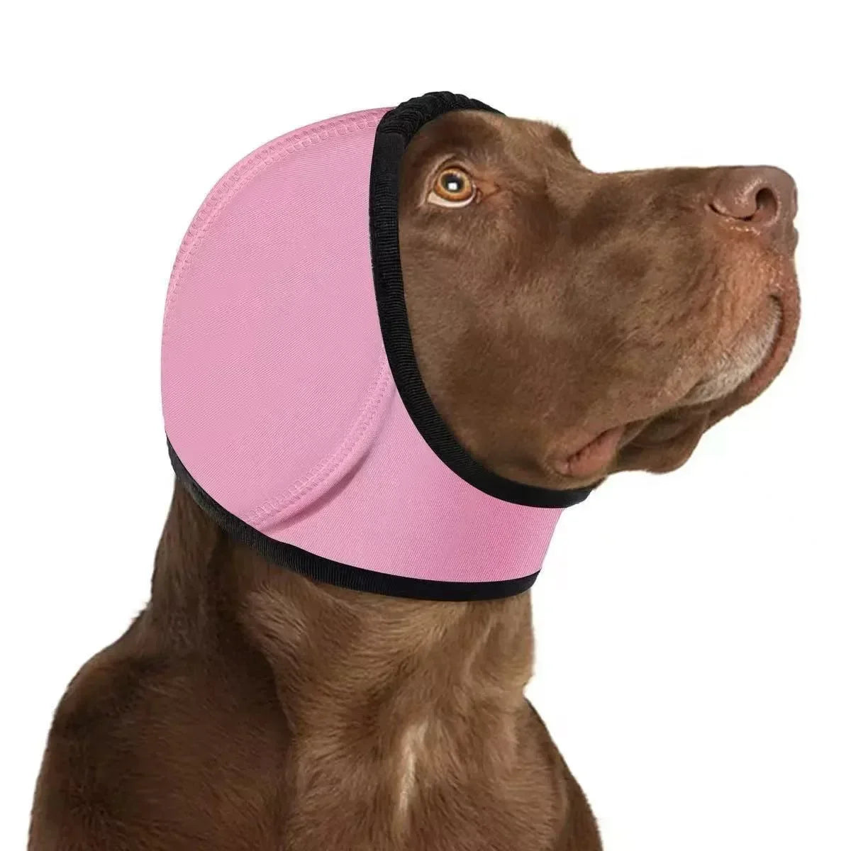 1pc Pet Grooming Hood, Dog Calming Cap Ear - ProPawPet.com