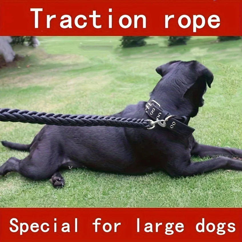 Comfort-Strong 5-Foot Braided Dog Leash: - ProPawPet.com