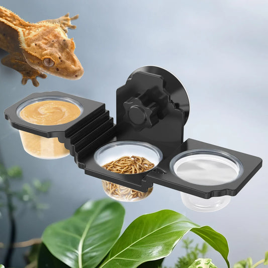 Three in One Reptile Feeding Bowl, Wall - ProPawPet.com