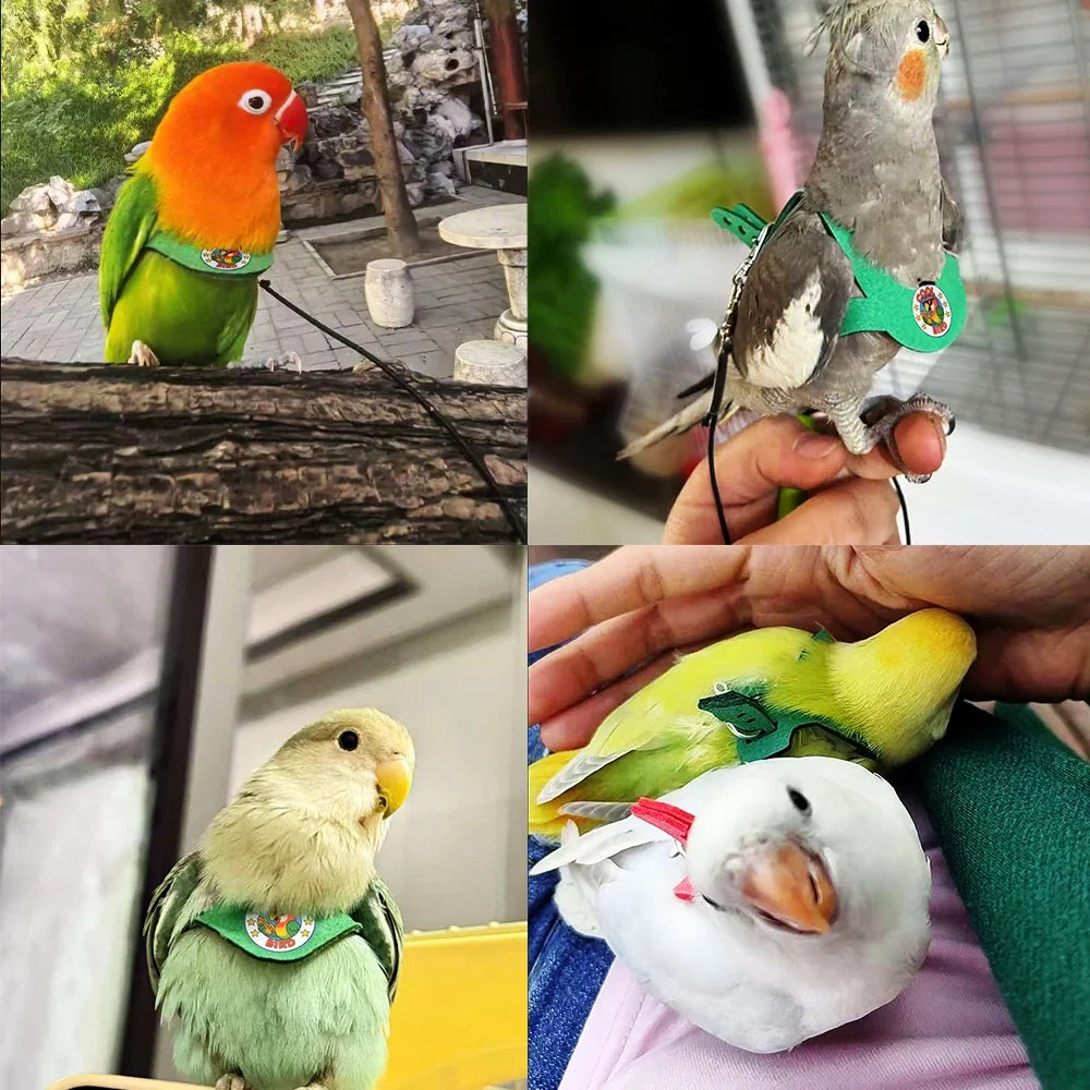Ultra Lightweight 4g Adjustable Parrot - ProPawPet.com