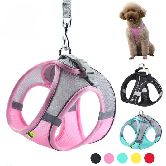 Puppy Harness Set Dog Accessories Adjustable - ProPawPet.com