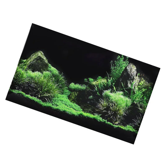 PVC Aquarium Background Sticker Self - ProPawPet.com