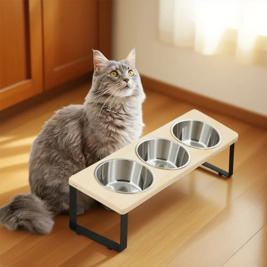 Elevated Cat Bowls with 3 Stainless Steel