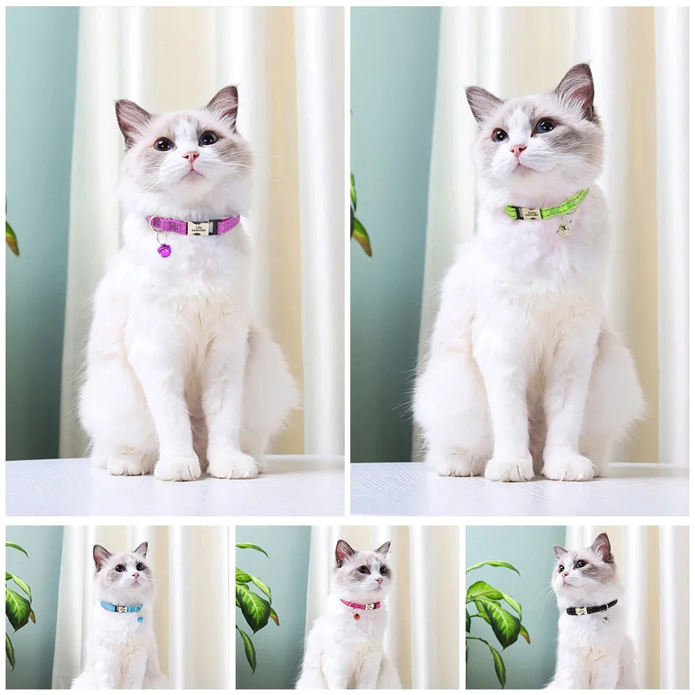 Personalized Cat Collar Reflective Nylon Dog - ProPawPet.com