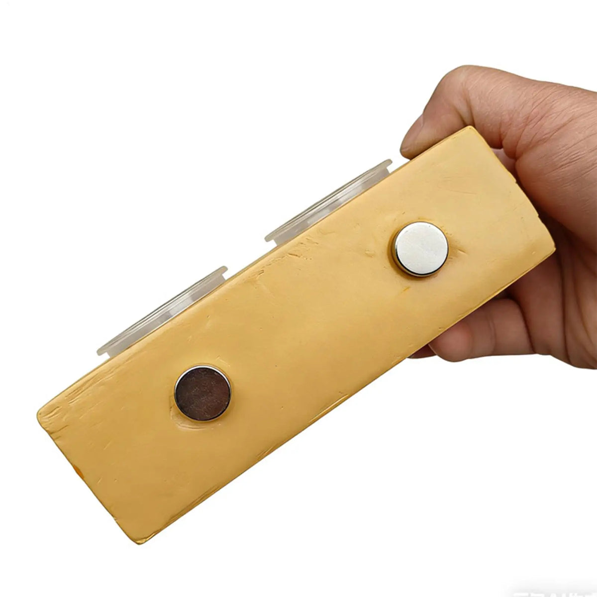 Gecko Feeding Ledge Magnetic Feeder With 10 - ProPawPet.com