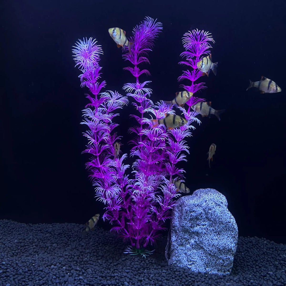 30cm High Aquarium Simulated Water Plants – 7 Colors