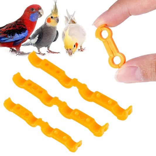 4/5/6mm Parrot Leg Corrector Nestling‌ Leg - ProPawPet.com