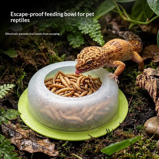 ⊹1Pc ABS Reptile Feeding Dish Anti Escape - ProPawPet.com