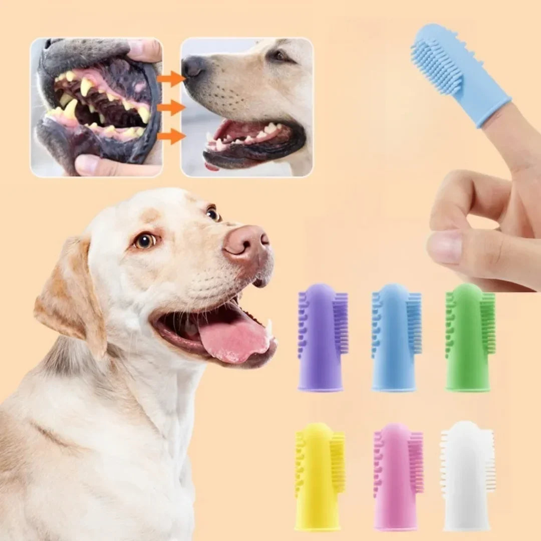 Soft Pet Dog Finger Toothbrush Dog Brush Bad - ProPawPet.com