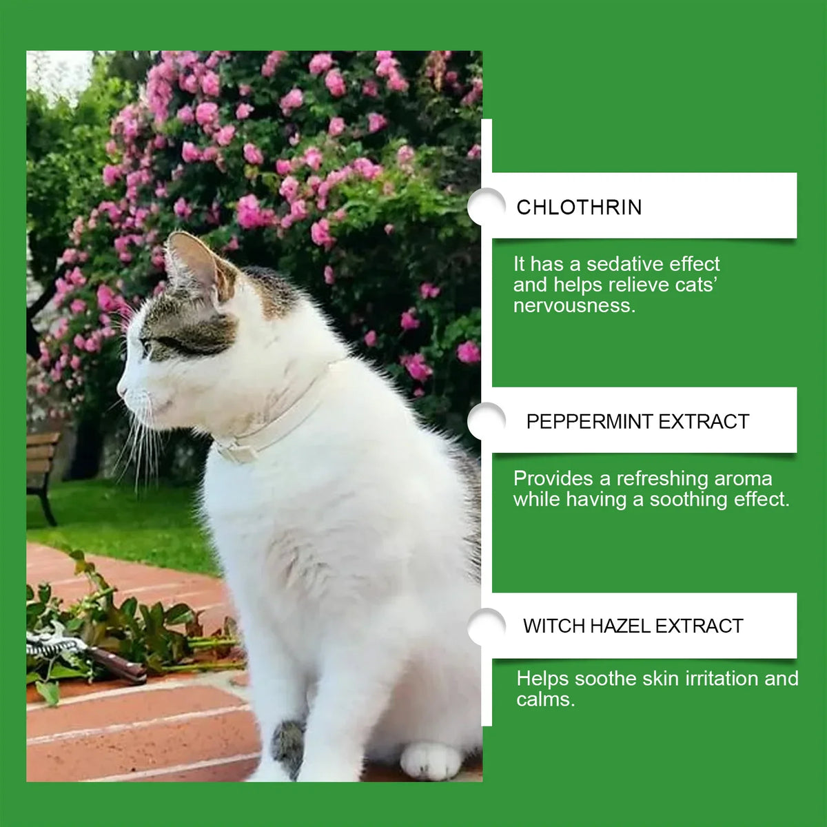 Cat Calming Diffuser Cat Pheromone Plug-In - ProPawPet.com