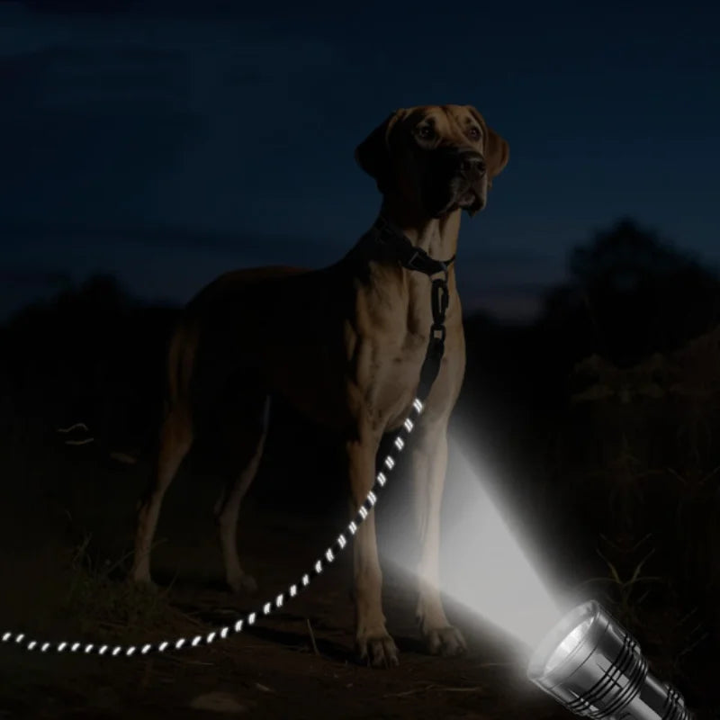 3M/5M/10M/15M/30M Soft Padded Reflective - ProPawPet.com
