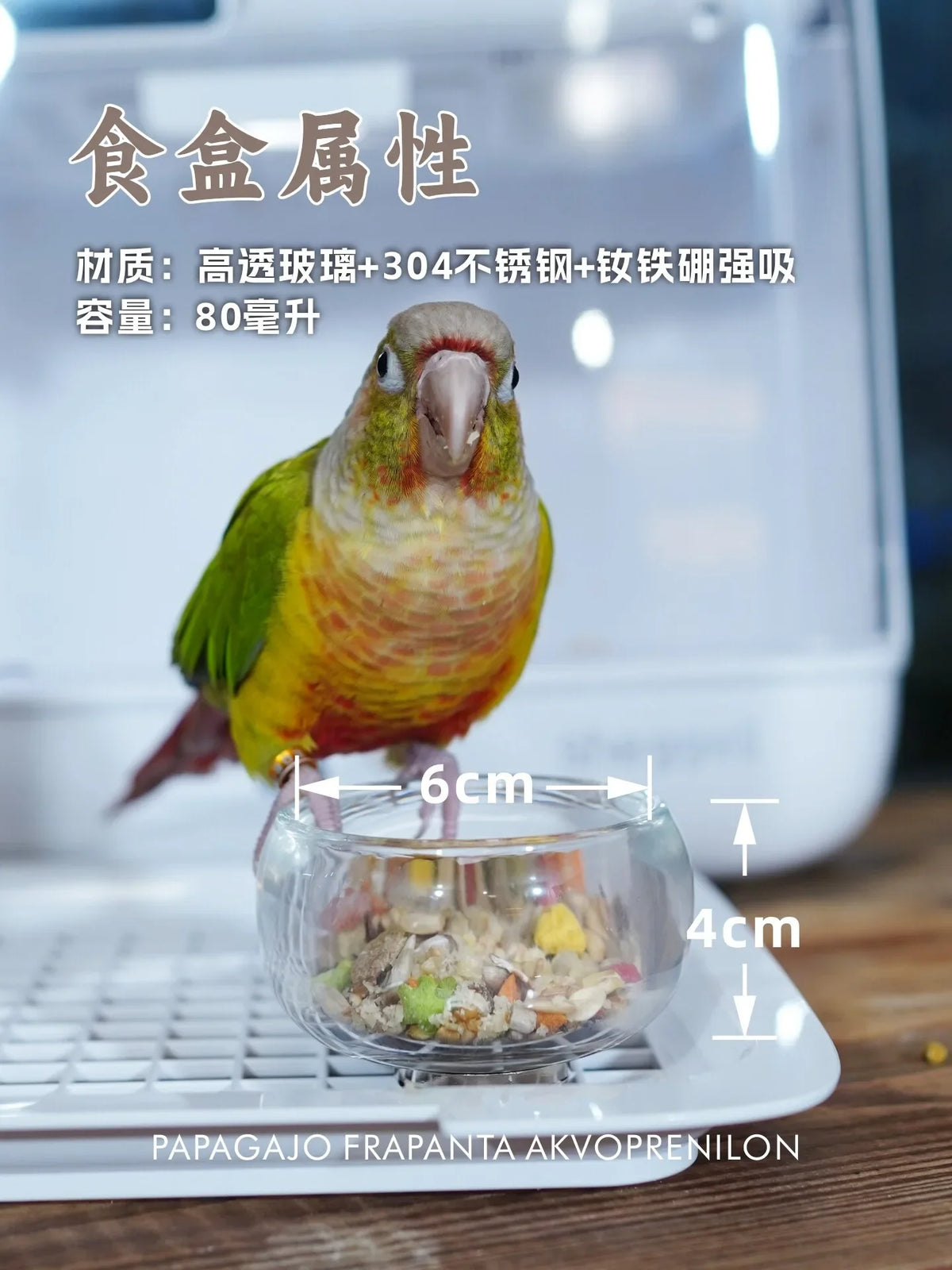 Parrot Incubator Special Kettle Magnetic - ProPawPet.com