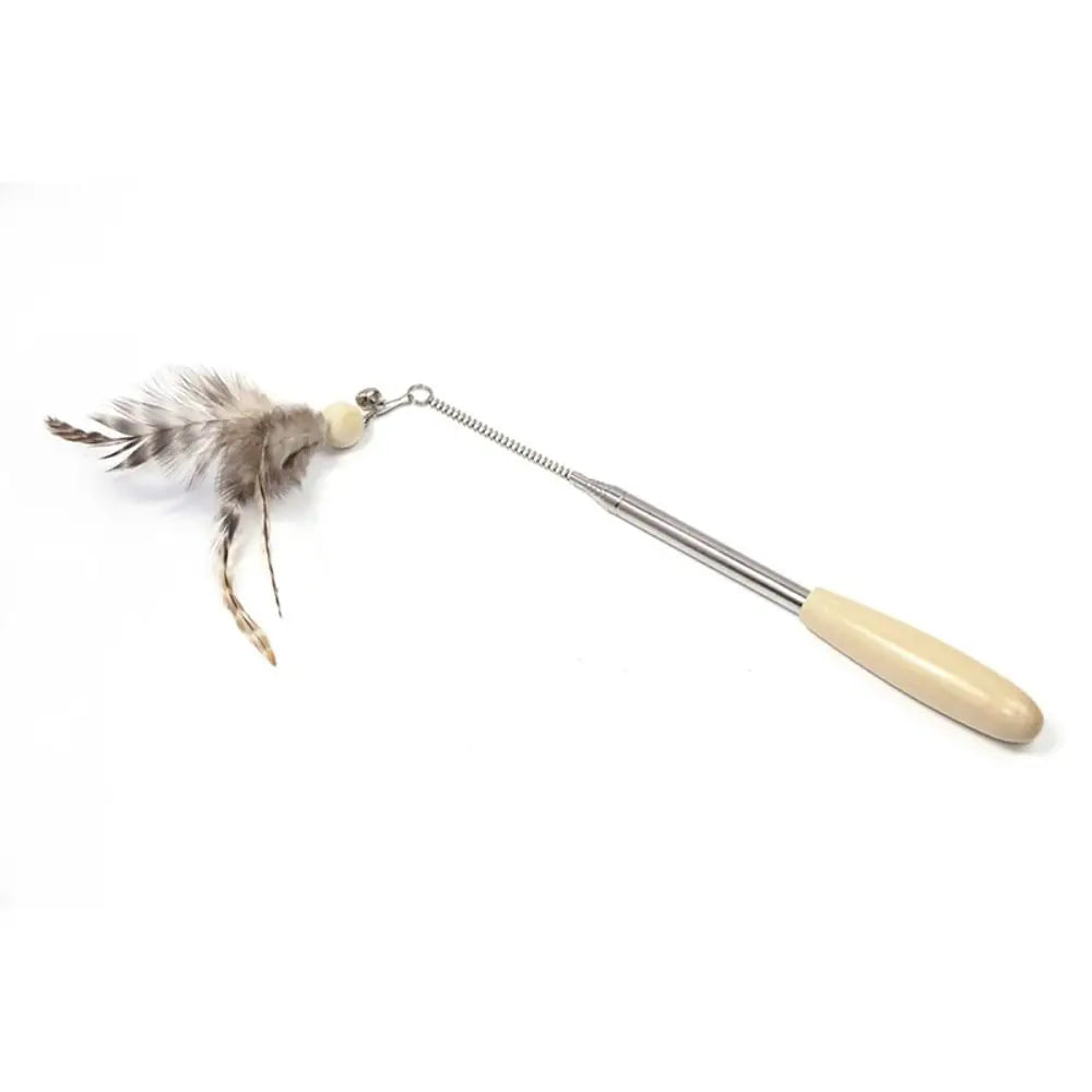 Retractable Cat Wand Pole Stainless Steel - ProPawPet.com