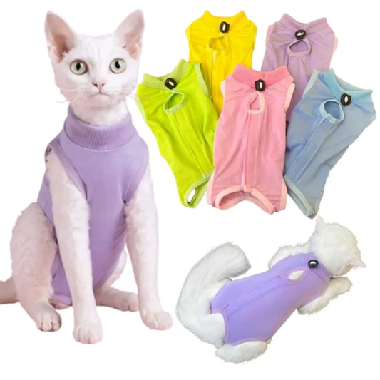 Cats Surgery Recovery - ProPawPet.com
