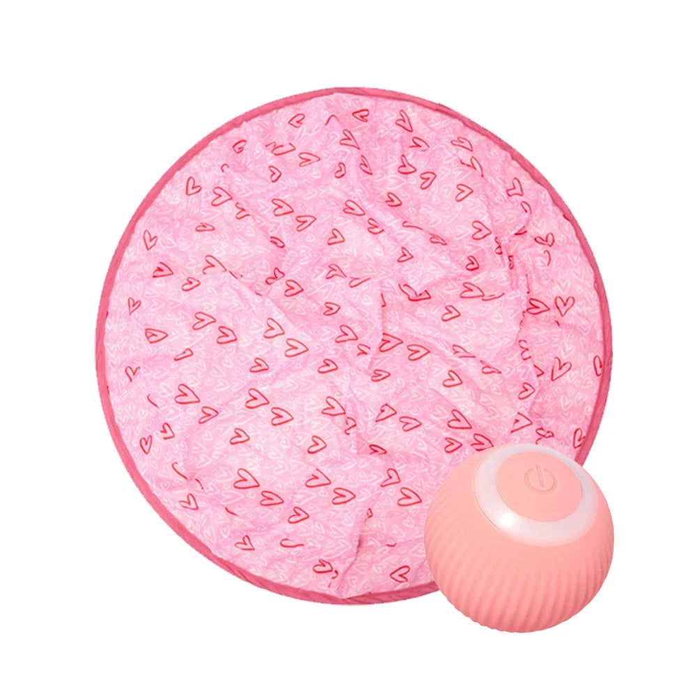 Cat Ball Hunting Exercise Pad Simulate Interactive Toy – Cat Beds & Mats