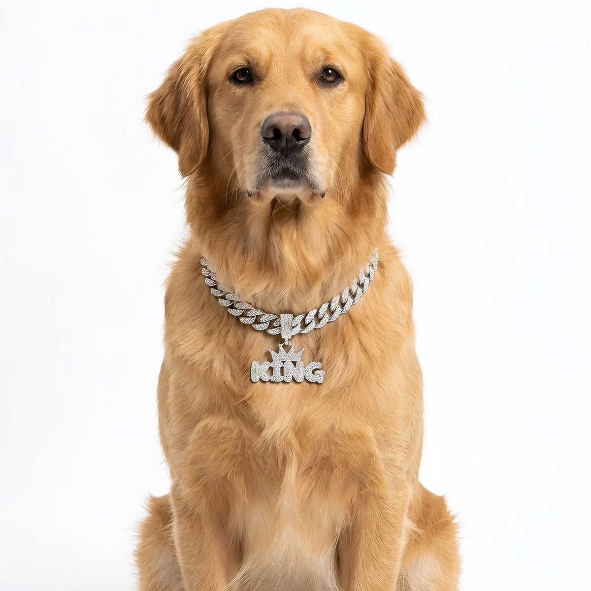 Cuban Dog Chain, Aluminum Alloy Pet Dog - ProPawPet.com