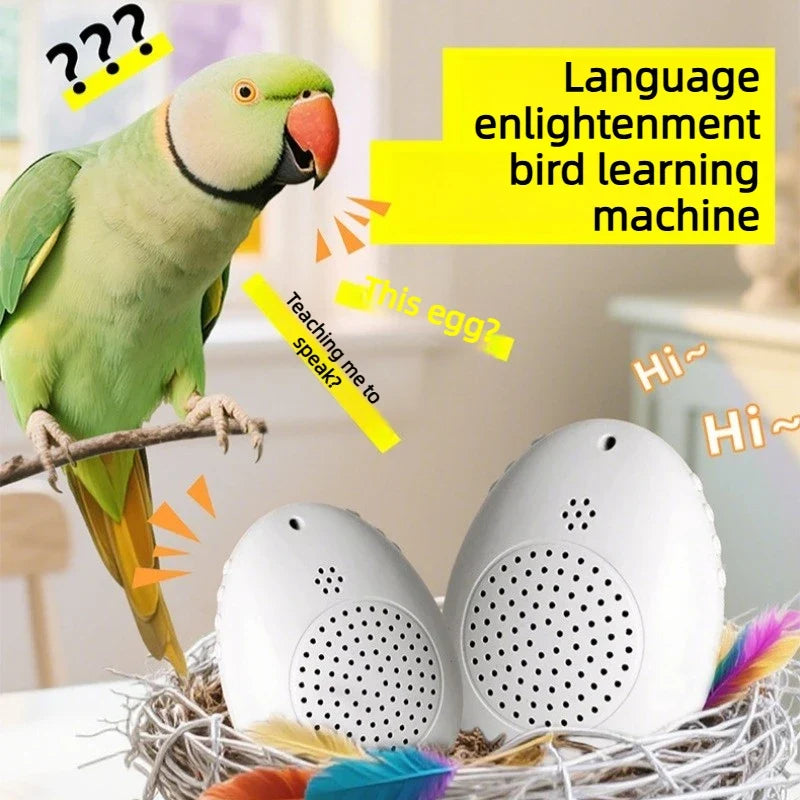 Recording Bird Learning Ma Interactive - ProPawPet.com