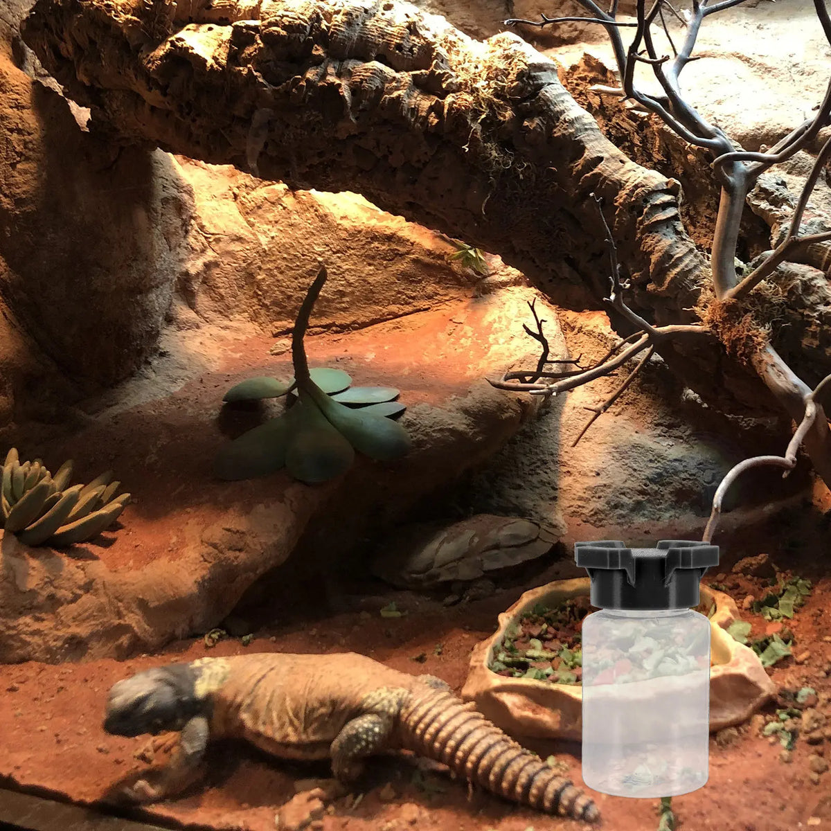 Spider Ant Water Feeder Multi-Port Reusable - ProPawPet.com