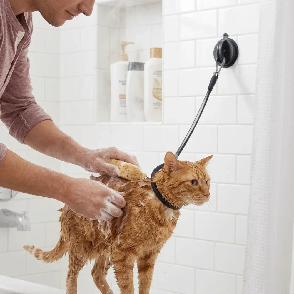 Professional Dog Bathing Tether Anti - ProPawPet.com