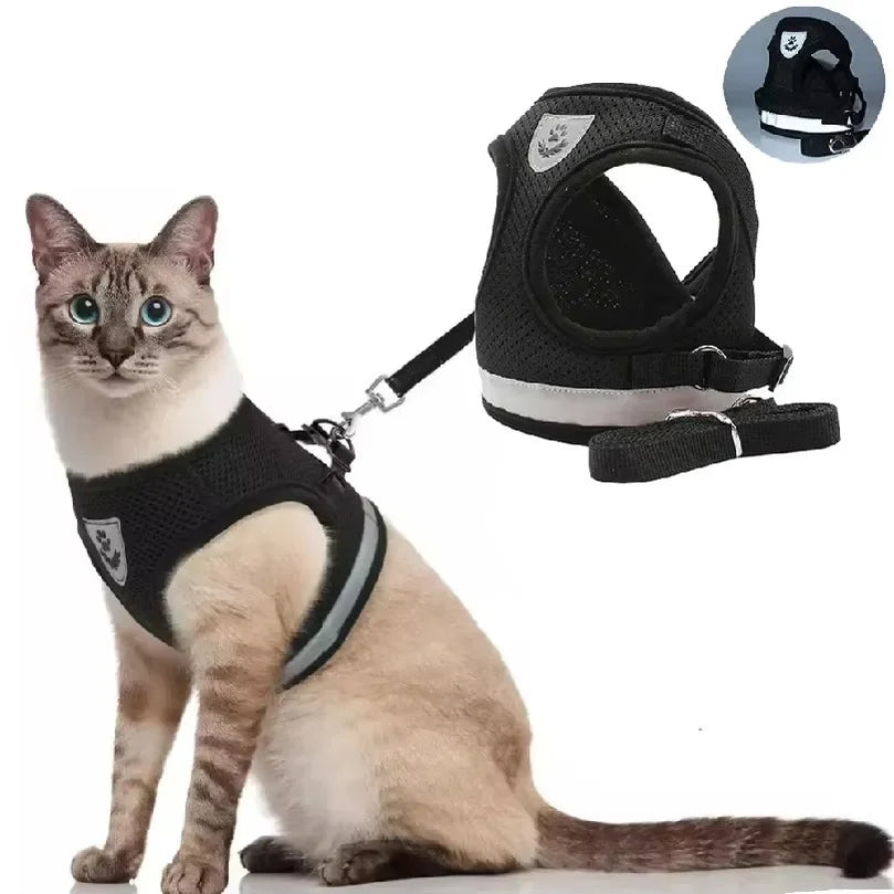 Escape Proof Cat Harness Adjustable - ProPawPet.com