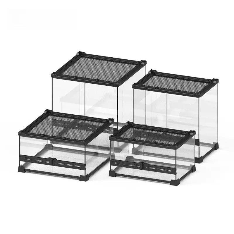 Glass Lizard Terrarium Lizard Supplies Large - ProPawPet.com