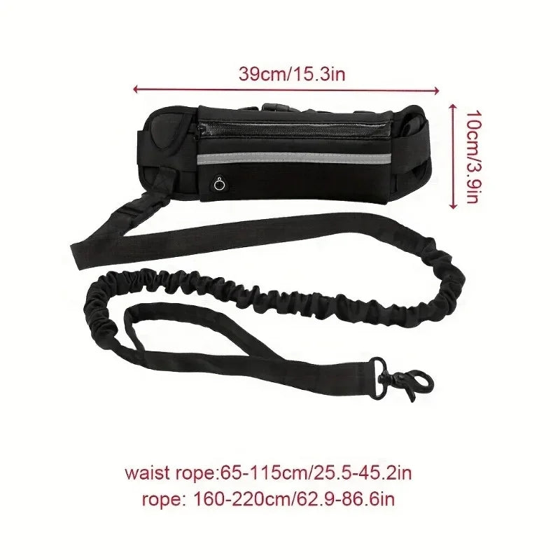Personalized Dog Walking Collar Free Hands - ProPawPet.com