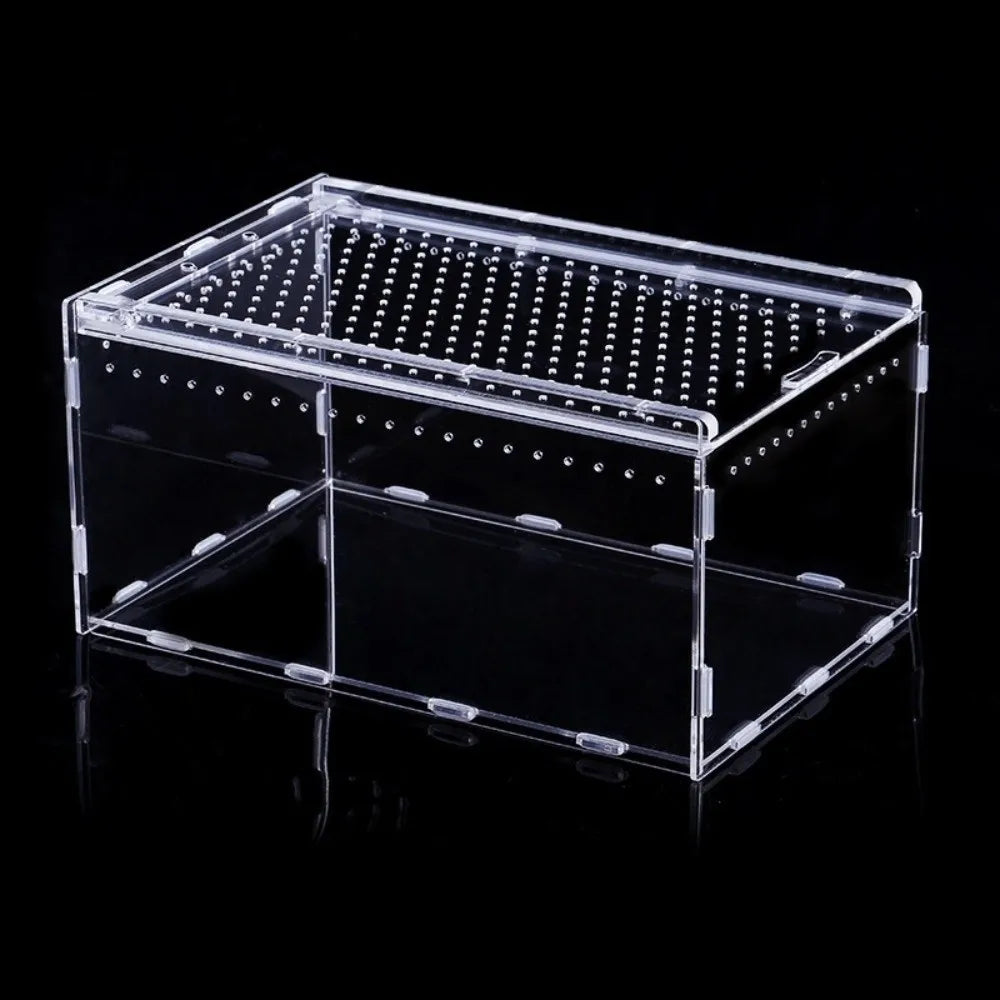 Transparent Reptiles Terrarium – 5 Colors