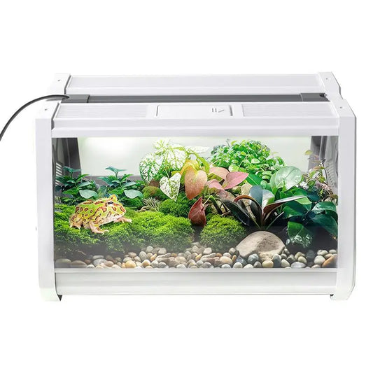 Reptile Cages Lizard Tank Escape-Proof - ProPawPet.com