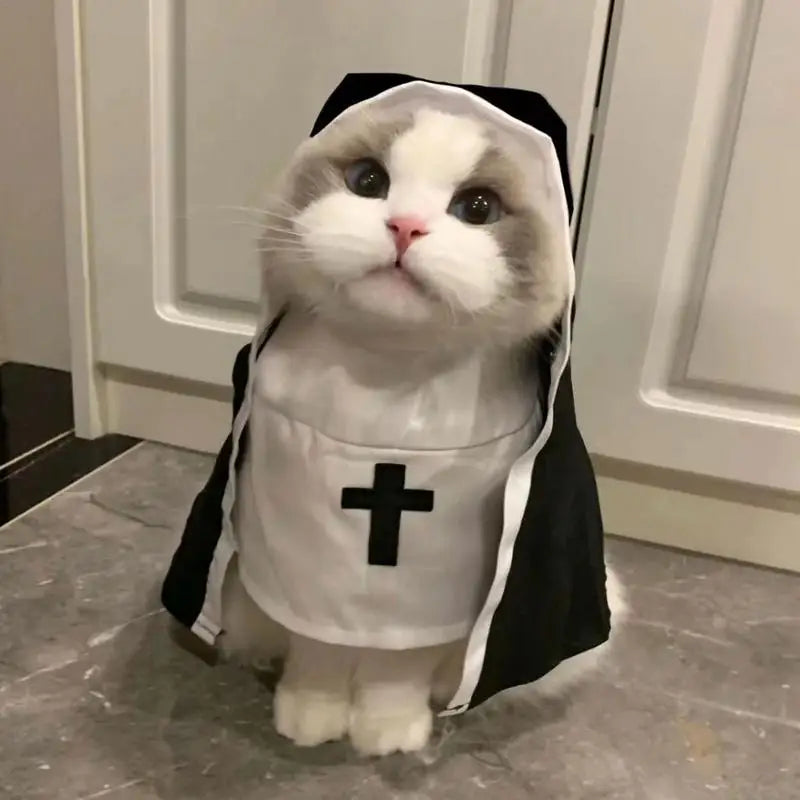 Three-Dimensional Modeling Nun Style - ProPawPet.com