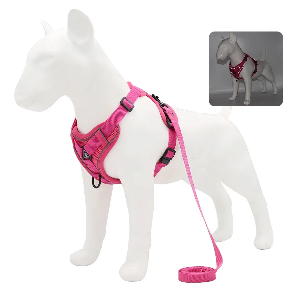 Harness and Leash Set Pet Accessories Dog - ProPawPet.com
