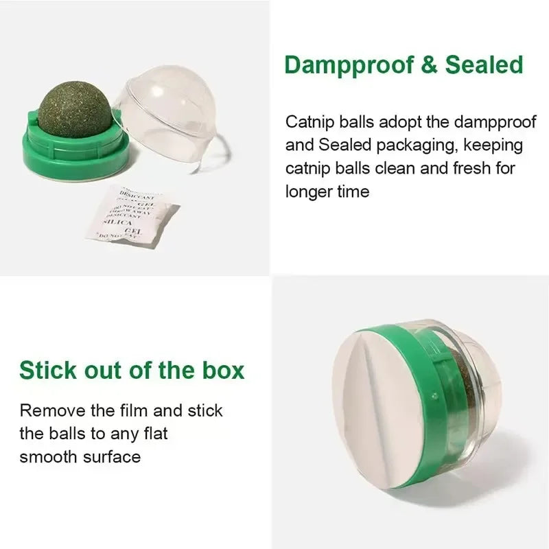 KEMORELA Catnip Cat Wall Stick-on Ball Toy - ProPawPet.com