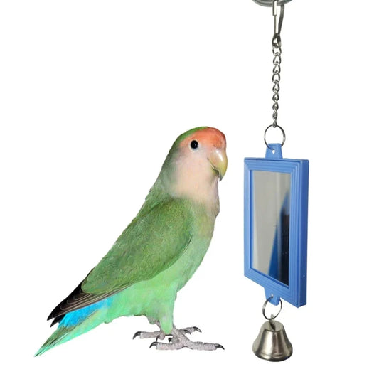 Bird Mirrors with Metal Bells Cockatiel - ProPawPet.com