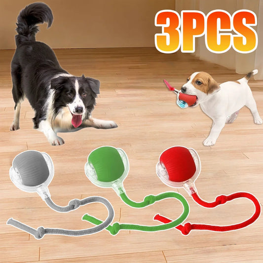 Smart Dog Interactive Ball Toys Automatic - ProPawPet.com