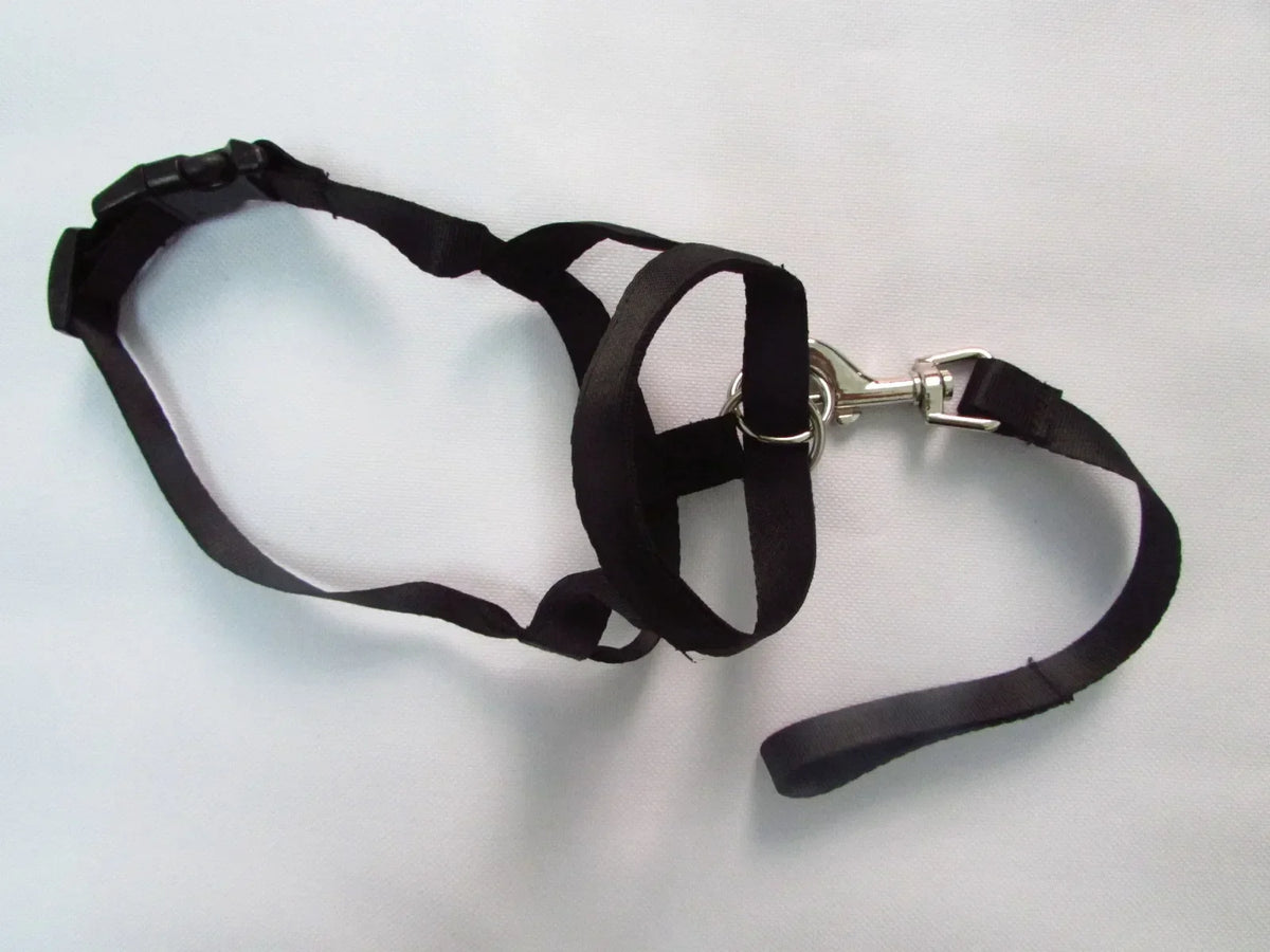 New Nylon Dog Muzzle Dogalter Dog Halter - ProPawPet.com