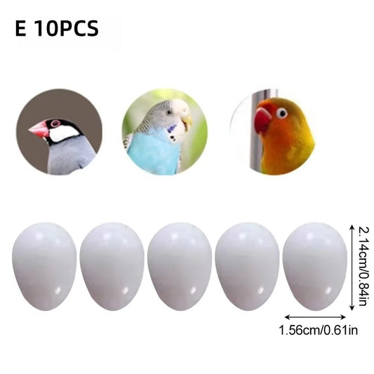 10pcs New Realistic Fake Bird Eggs White - ProPawPet.com