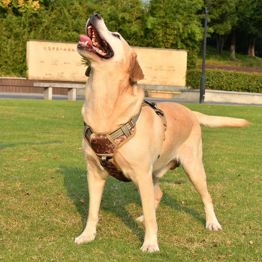 Dog Tactical Harness Vest Pet Dog Harness - ProPawPet.com
