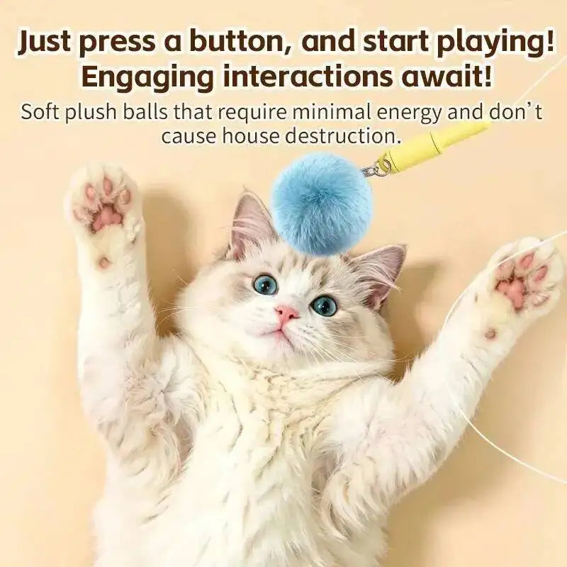 Electric Cat Teaser Catapult Retrievable - ProPawPet.com