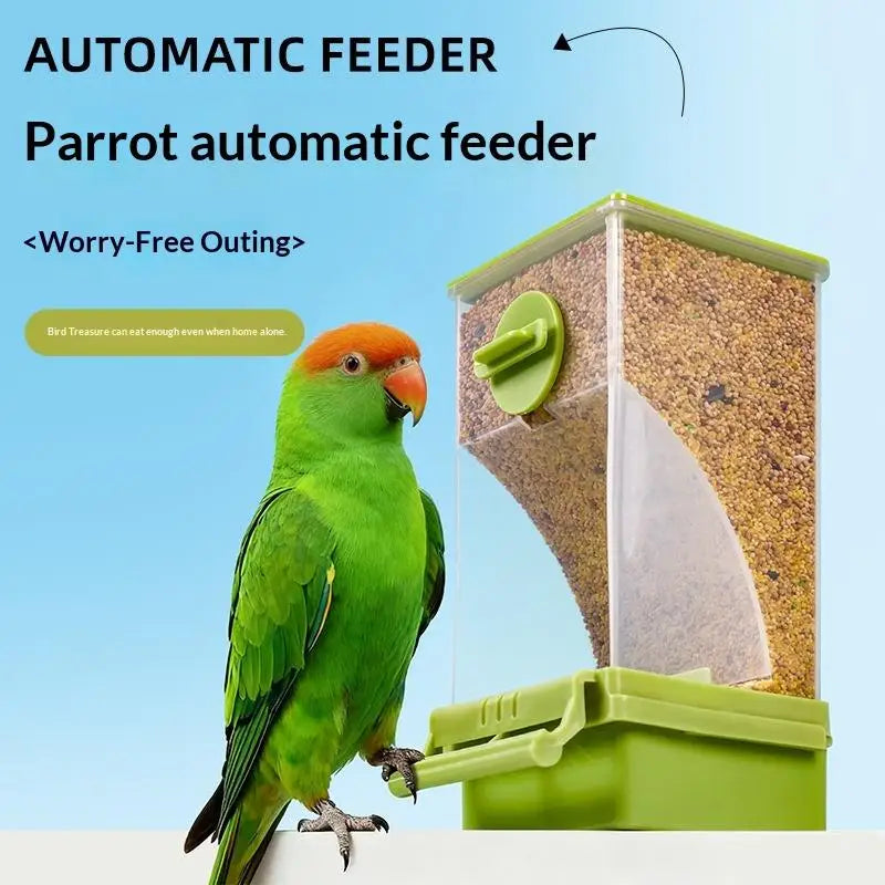 New Automatic Feeder Automatic Bird Seed - ProPawPet.com
