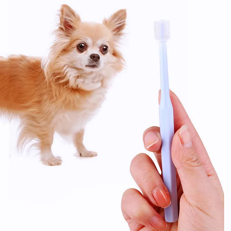 Dog Toothbrush Oral Care Pet Toothbrushes - ProPawPet.com