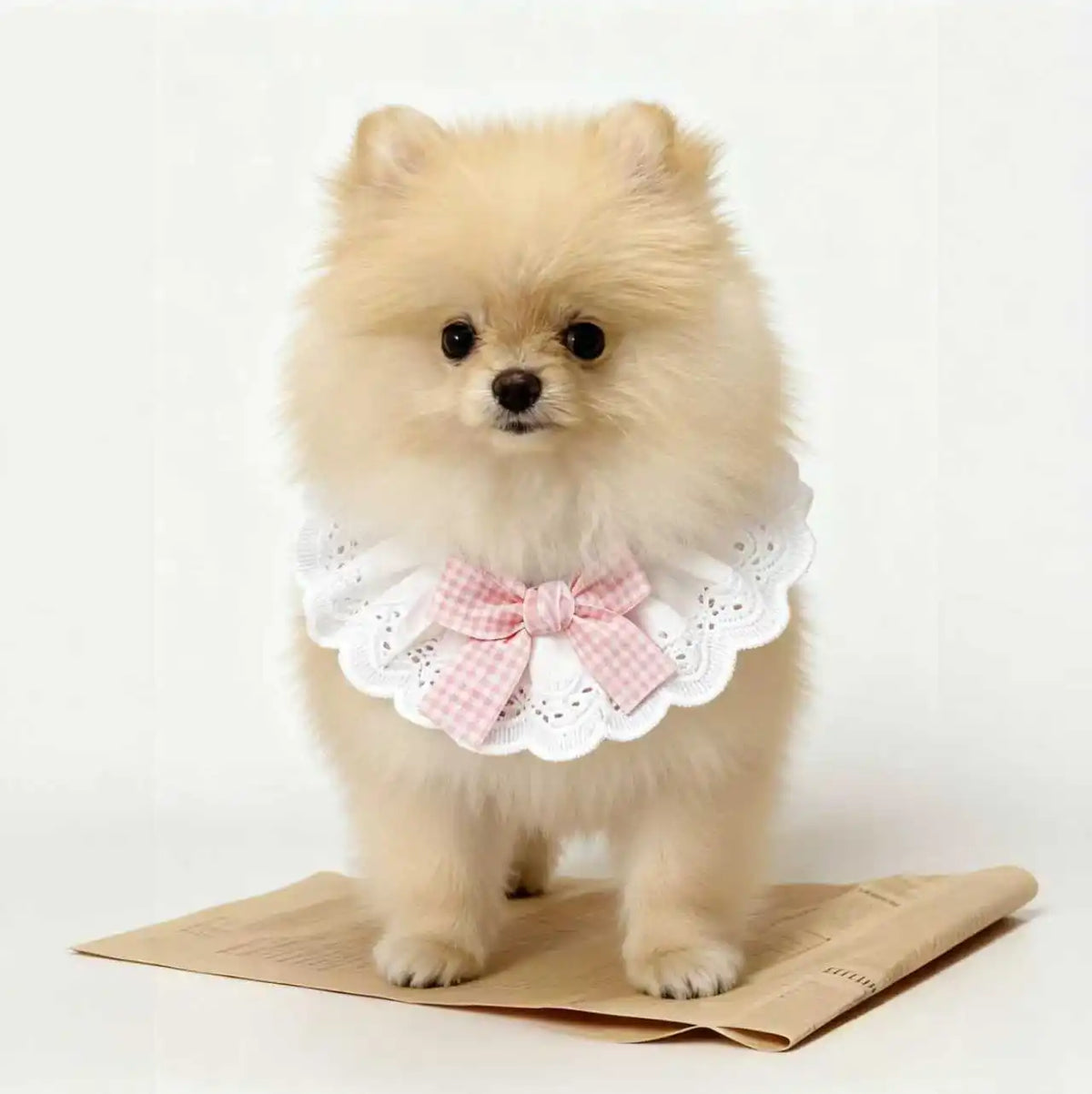 Pet Lace Bib Collar Plaid Bowknot Adjustable - ProPawPet.com