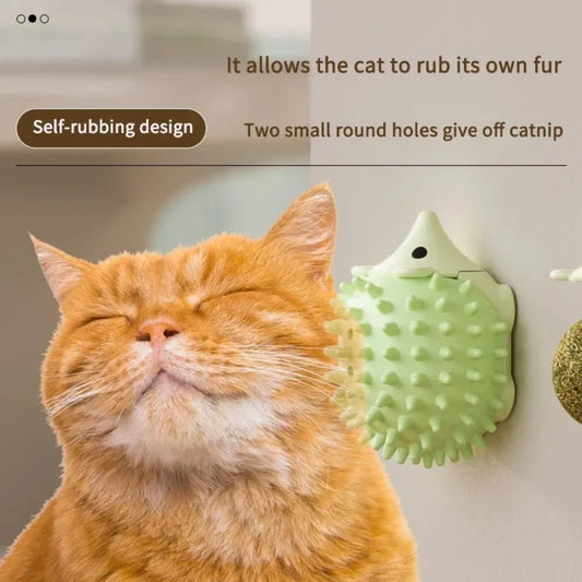 Hedgehog Wall Mount Catnip Toy 360° - ProPawPet.com
